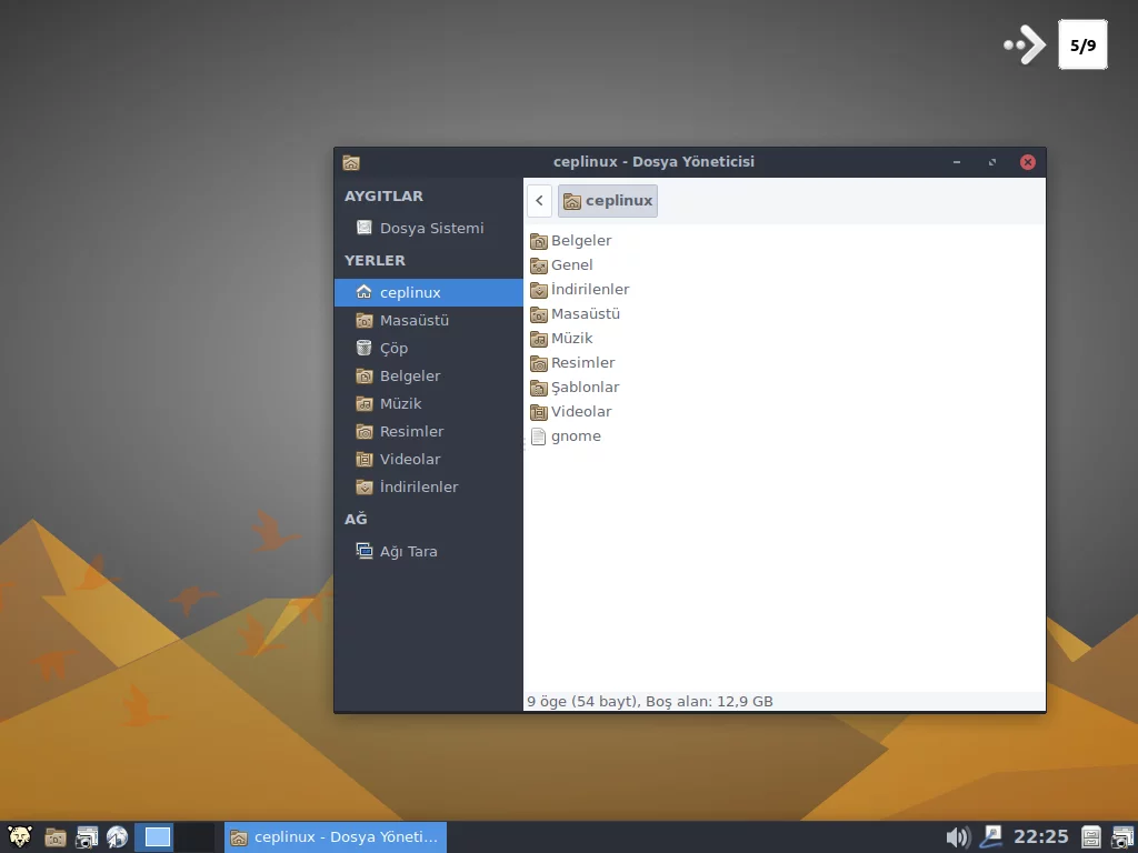 Linux Pardus 17
            bilgisayar işletim sistemi, Masaüstü XFCE